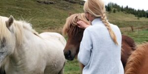 Equine Therapy and How it Can Help You